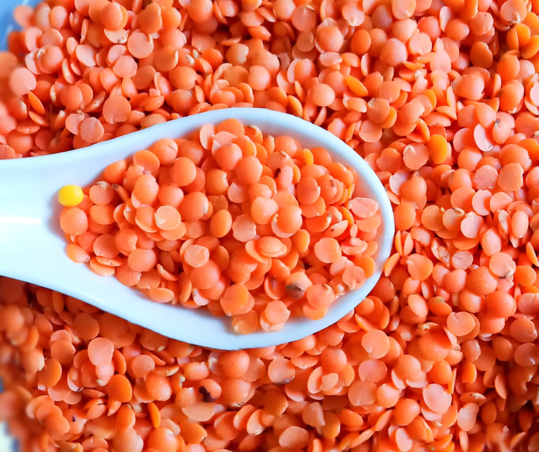 Photo plant-based protein