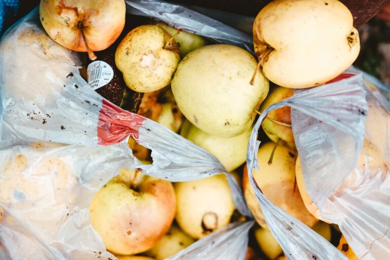 Photo Food waste strategies